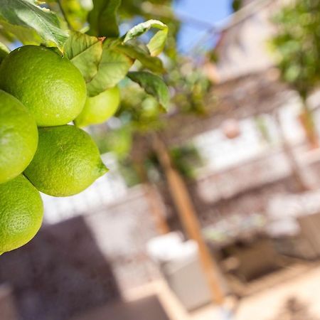 Apartament Lemon Paradise Alicante Exterior photo